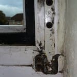Window Hinge replacement (before)