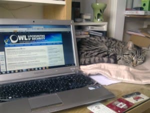 Waffles had a hard day -- NOT!