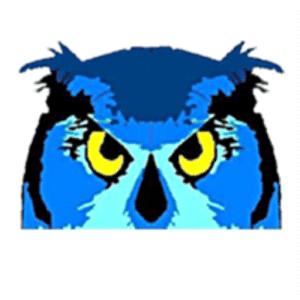 Owl Locksmiths and Security