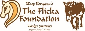 The Flicka Foundation
